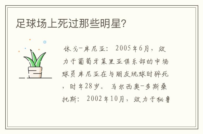 足球场上死过那些明星?