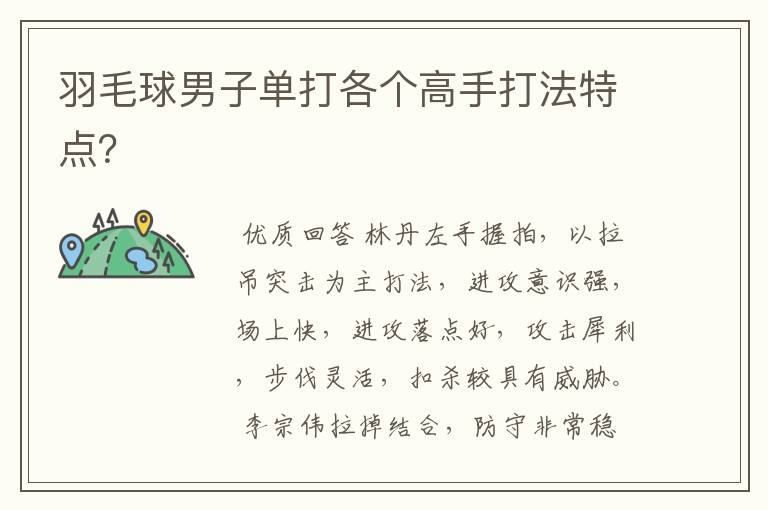 羽毛球男子单打各个高手打法特点?
