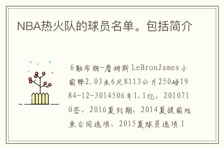 NBA热火队的球员名单。包括简介