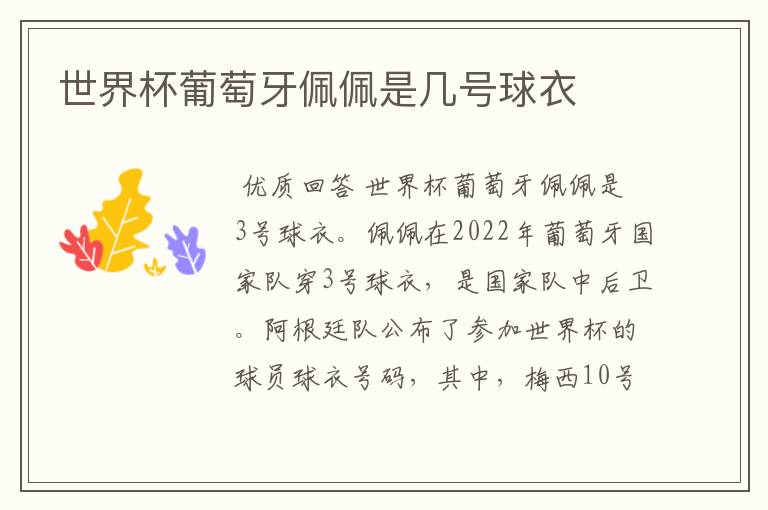 世界杯葡萄牙佩佩是几号球衣