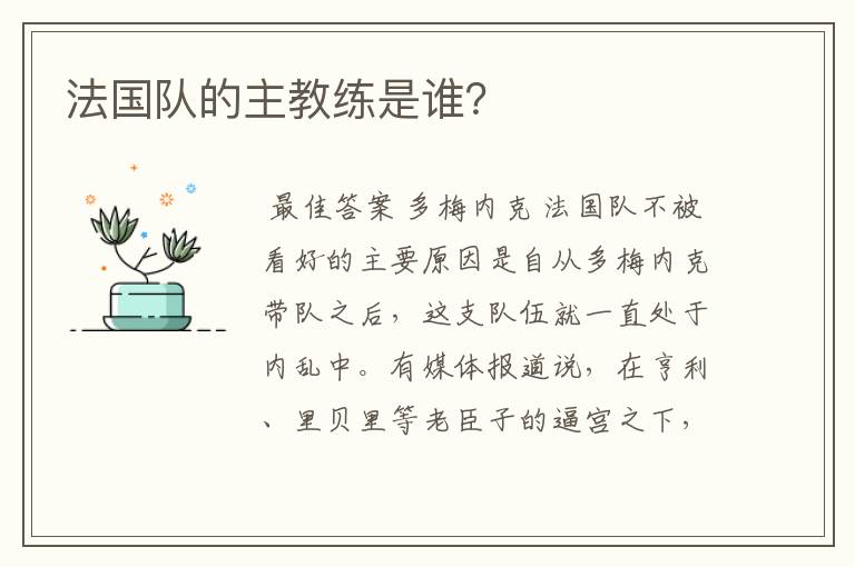 法国队的主教练是谁?
