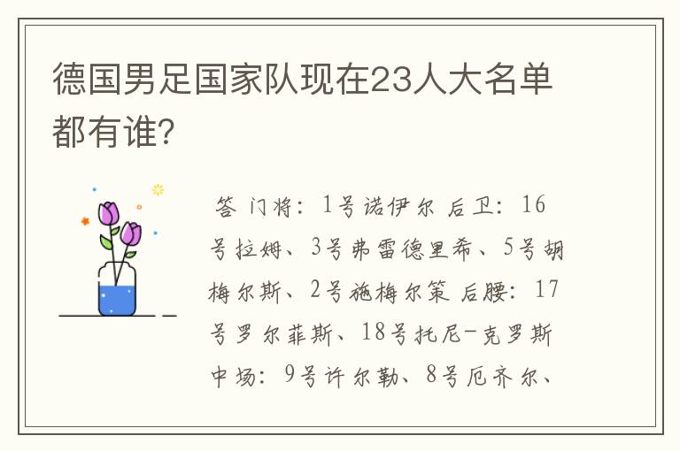 德国男足国家队现在23人大名单都有谁?