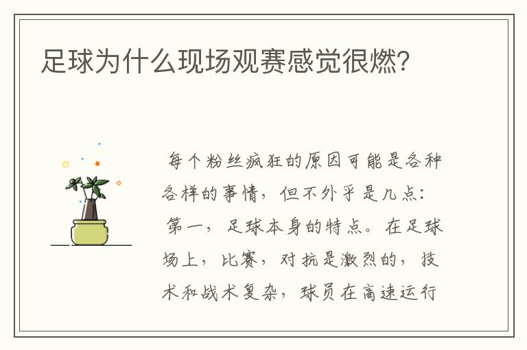足球为什么现场观赛感觉很燃?