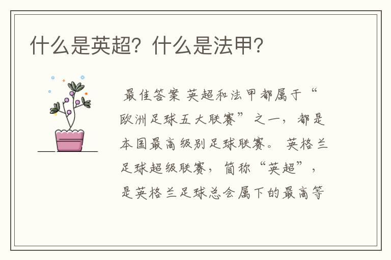 什么是英超?什么是法甲?