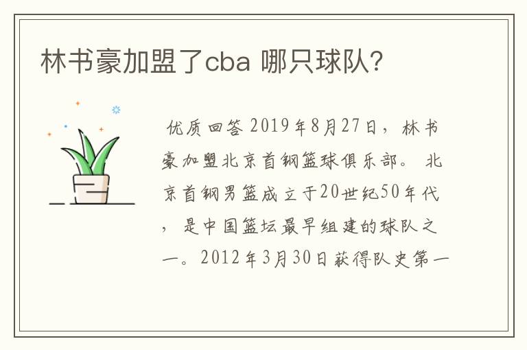 林书豪加盟了cba 哪只球队?