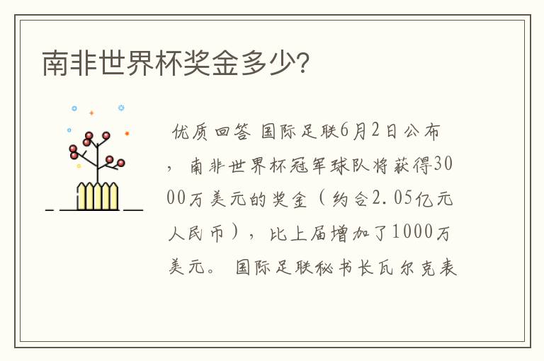 南非世界杯奖金多少?