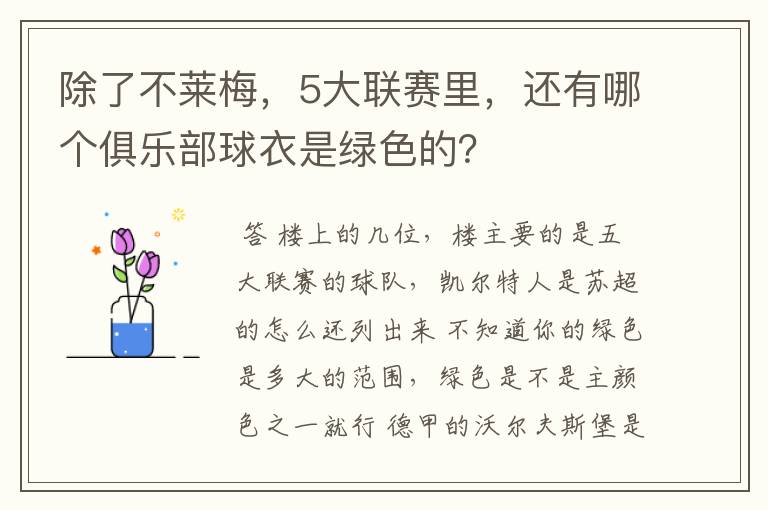 除了不莱梅,5大联赛里,还有哪个俱乐部球衣是绿色的?