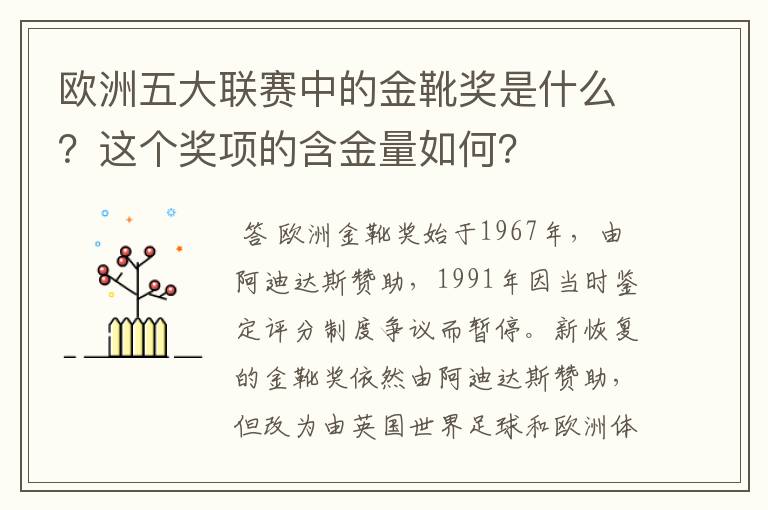 欧洲五大联赛中的金靴奖是什么?这个奖项的含金量如何?