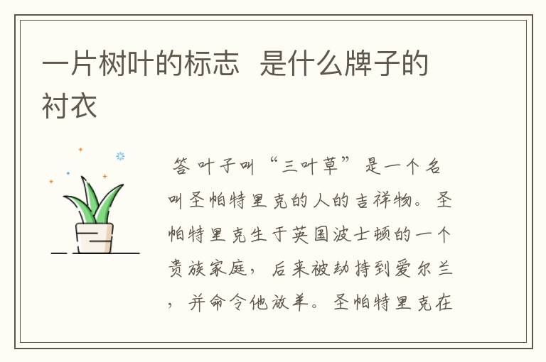 一片树叶的标志 是什么牌子的衬衣