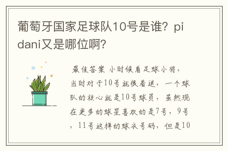 葡萄牙国家足球队10号是谁?pidani又是哪位啊?