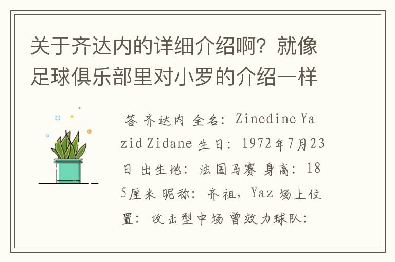 关于齐达内的详细介绍啊?就像足球俱乐部里对小罗的介绍一样,要从幼年开始的特别是他的坎坷的那一段