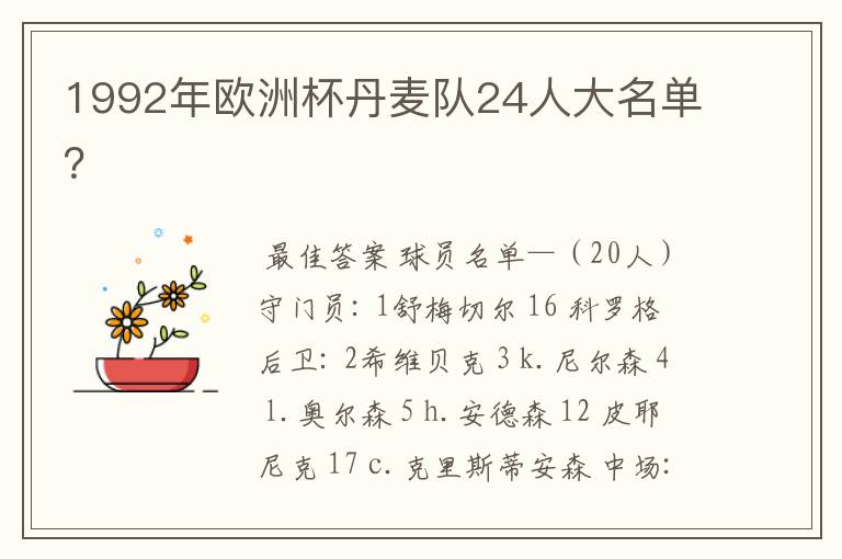 1992年欧洲杯丹麦队24人大名单?