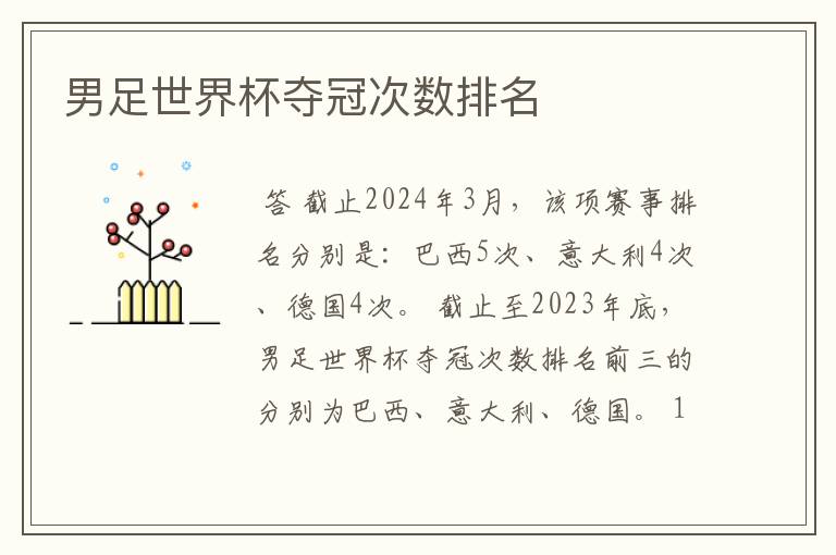 男足世界杯夺冠次数排名