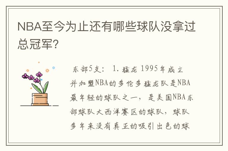 NBA至今为止还有哪些球队没拿过总冠军？