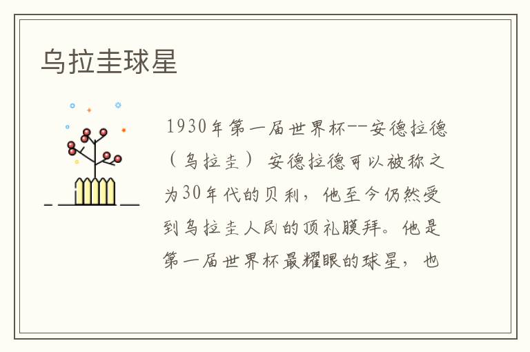乌拉圭球星