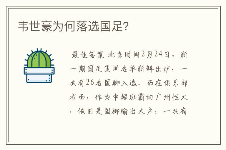 韦世豪为何落选国足?