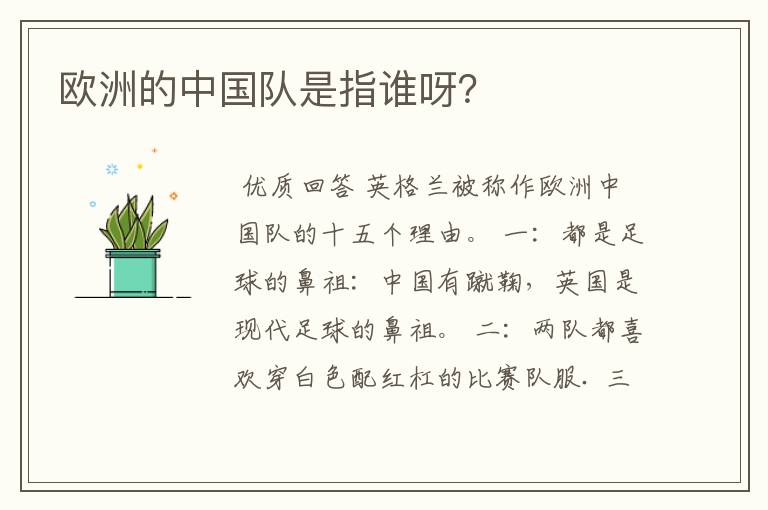 欧洲的中国队是指谁呀?