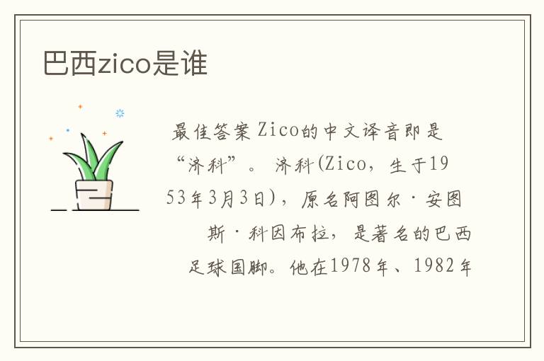 巴西zico是谁