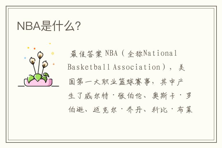 NBA是什么?