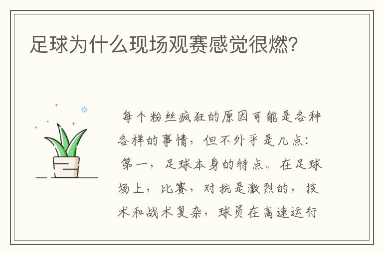 足球为什么现场观赛感觉很燃?
