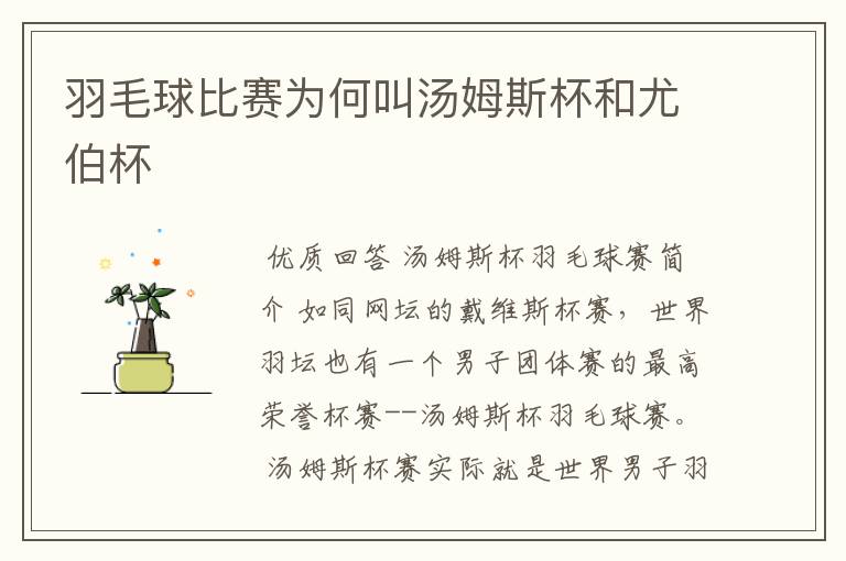 羽毛球比赛为何叫汤姆斯杯和尤伯杯