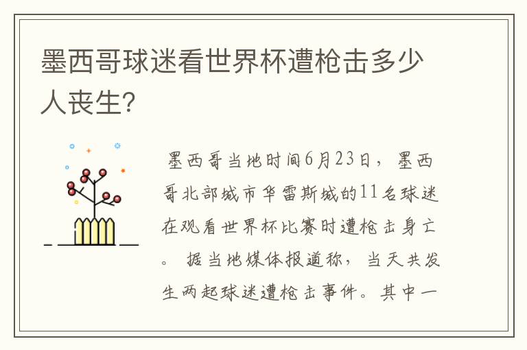 墨西哥球迷看世界杯遭枪击多少人丧生?