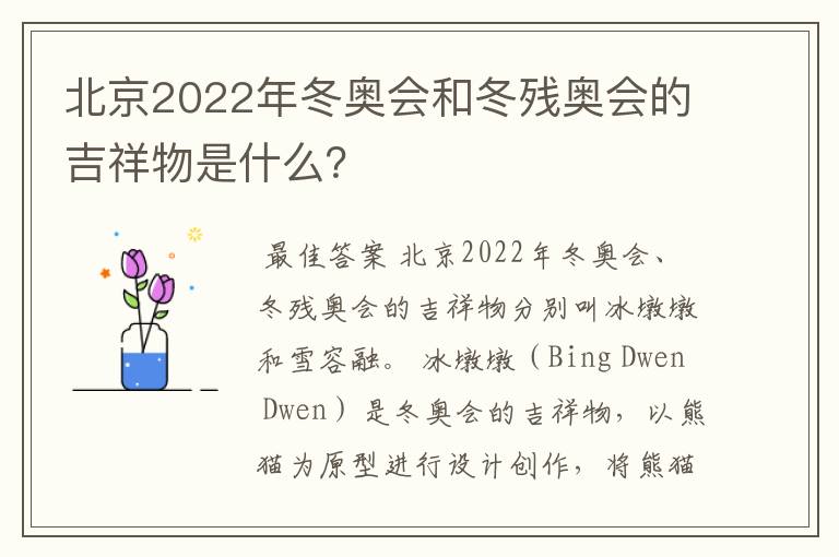 北京2022年冬奥会和冬残奥会的吉祥物是什么?