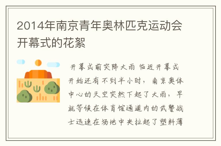 2014年南京青年奥林匹克运动会开幕式的花絮