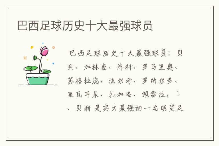 巴西足球历史十大最强球员