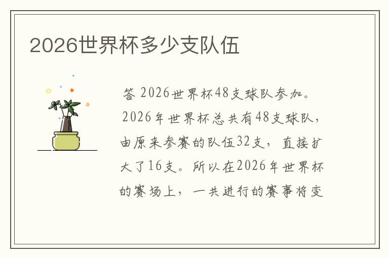 2026世界杯多少支队伍