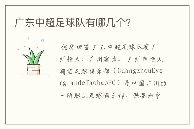广东中超足球队有哪几个?