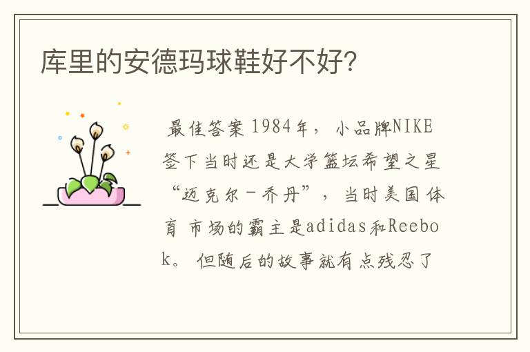 库里的安德玛球鞋好不好?