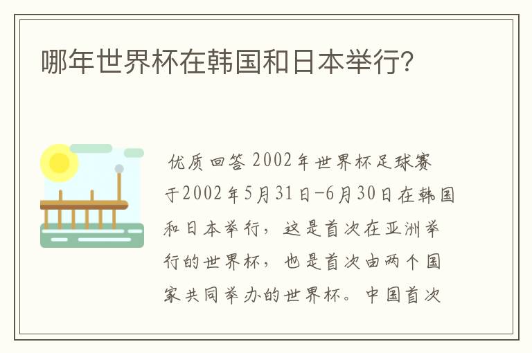 哪年世界杯在韩国和日本举行?
