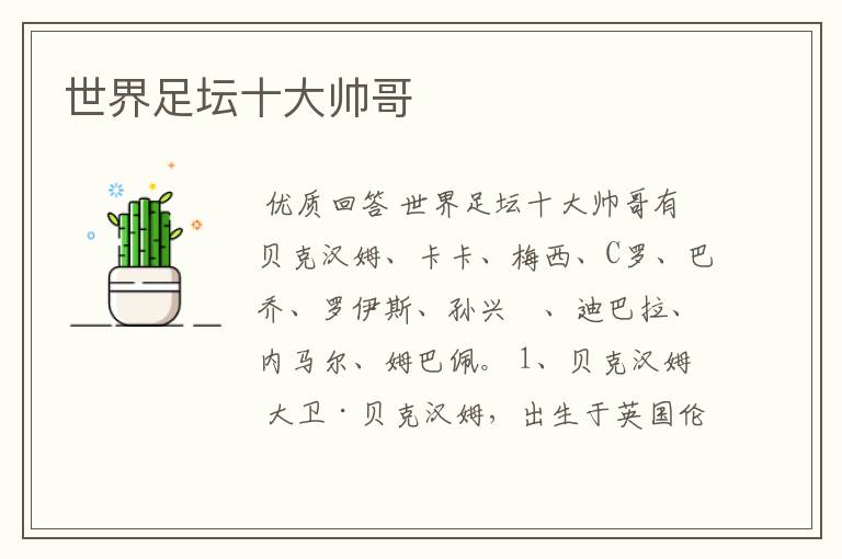 世界足坛十大帅哥