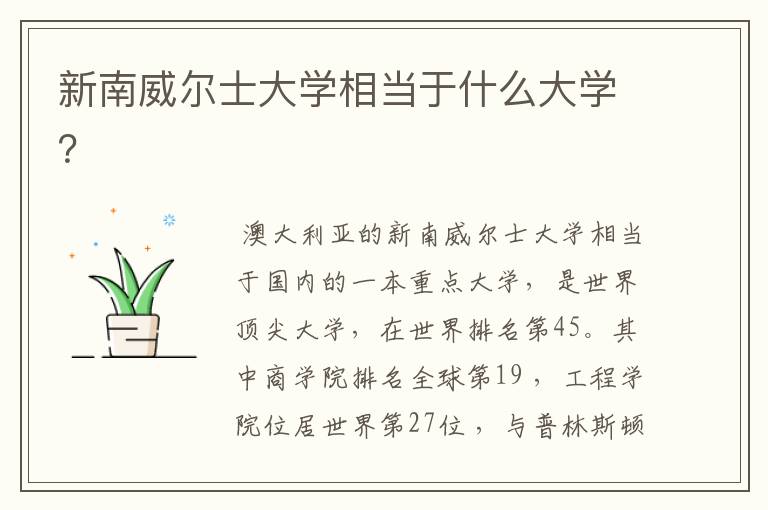 新南威尔士大学相当于什么大学?