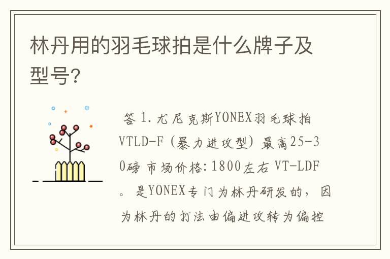 林丹用的羽毛球拍是什么牌子及型号?