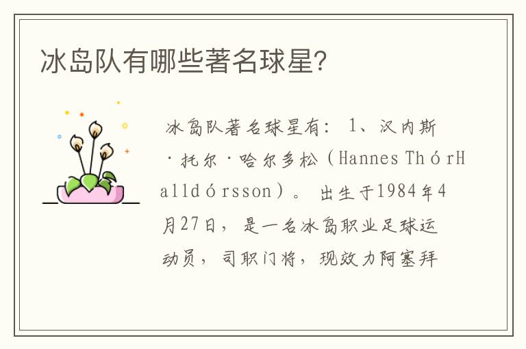 冰岛队有哪些著名球星?