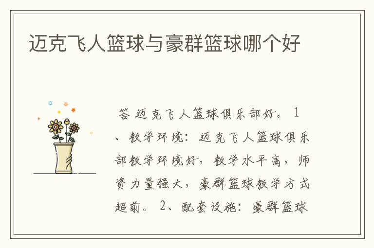 迈克飞人篮球与豪群篮球哪个好