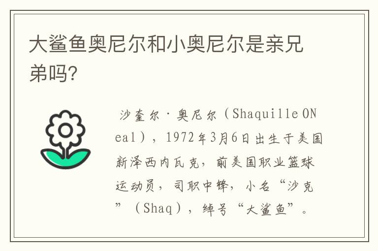 大鲨鱼奥尼尔和小奥尼尔是亲兄弟吗?