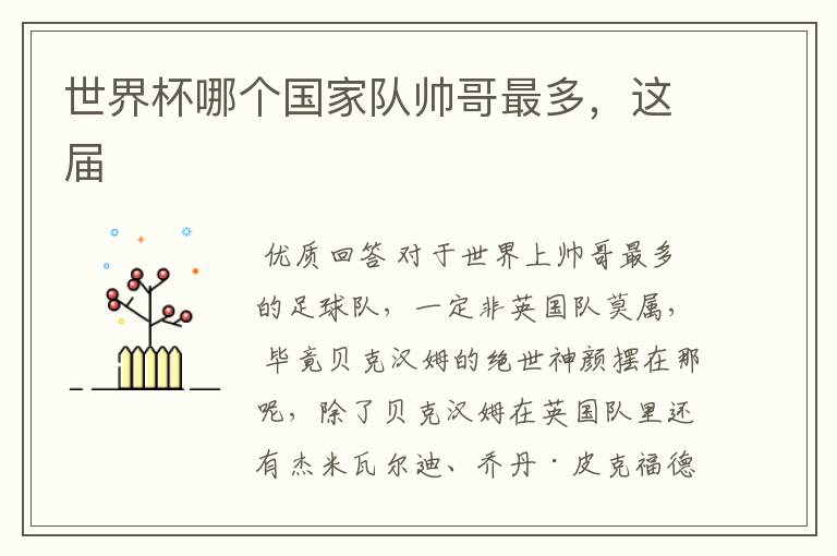 世界杯哪个国家队帅哥最多,这届