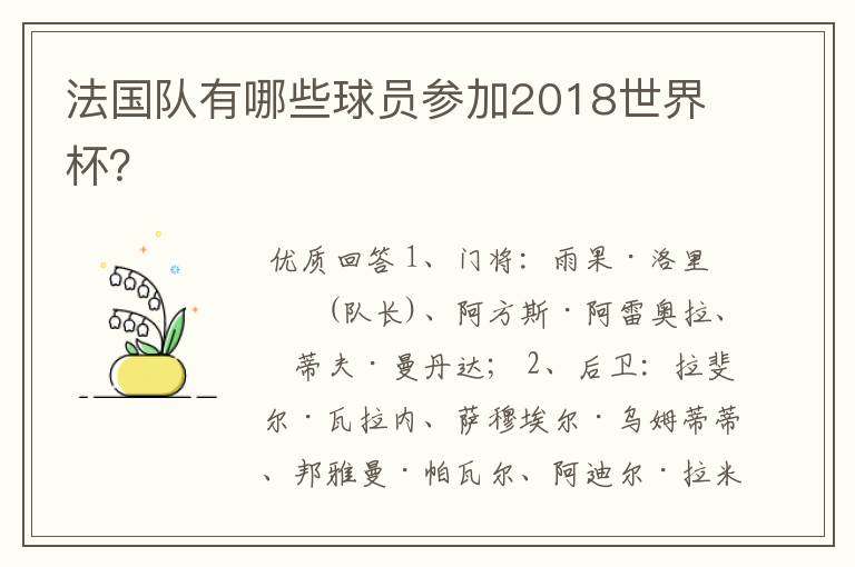 法国队有哪些球员参加2018世界杯?