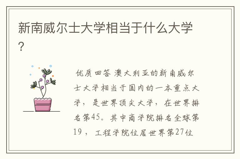 新南威尔士大学相当于什么大学?