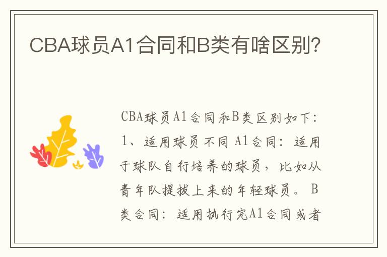 CBA球员A1合同和B类有啥区别?