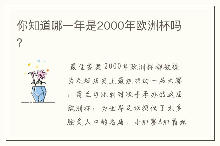 你知道哪一年是2000年欧洲杯吗?