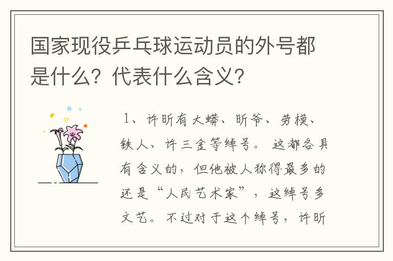 国家现役乒乓球运动员的外号都是什么?代表什么含义?