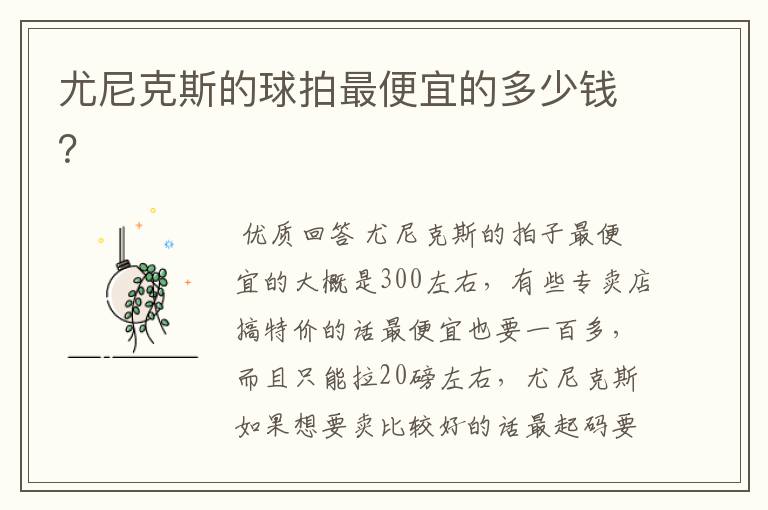 尤尼克斯的球拍最便宜的多少钱?