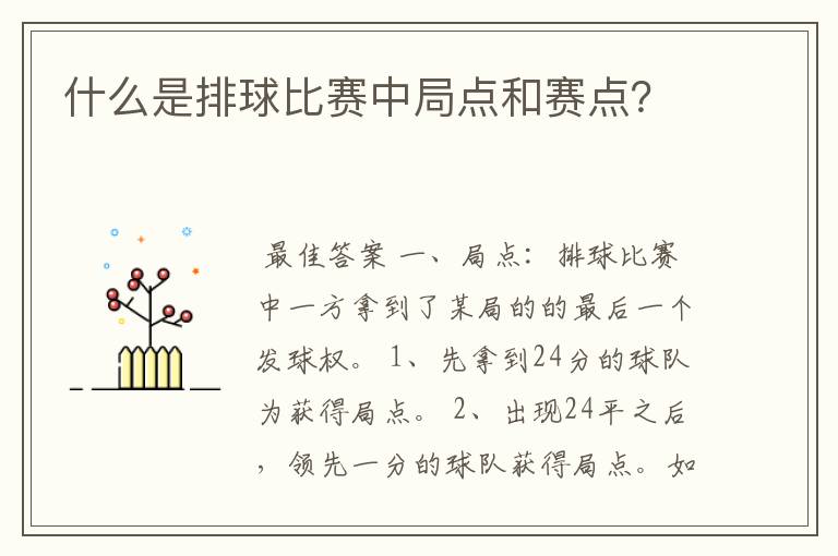 什么是排球比赛中局点和赛点?