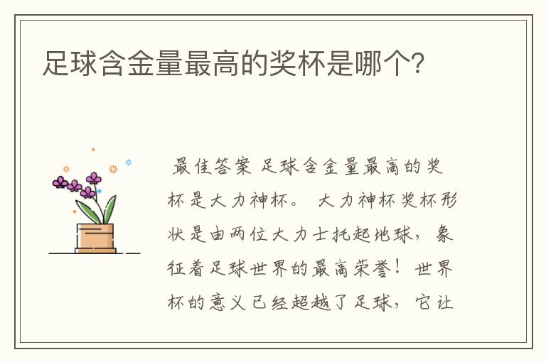 足球含金量最高的奖杯是哪个?