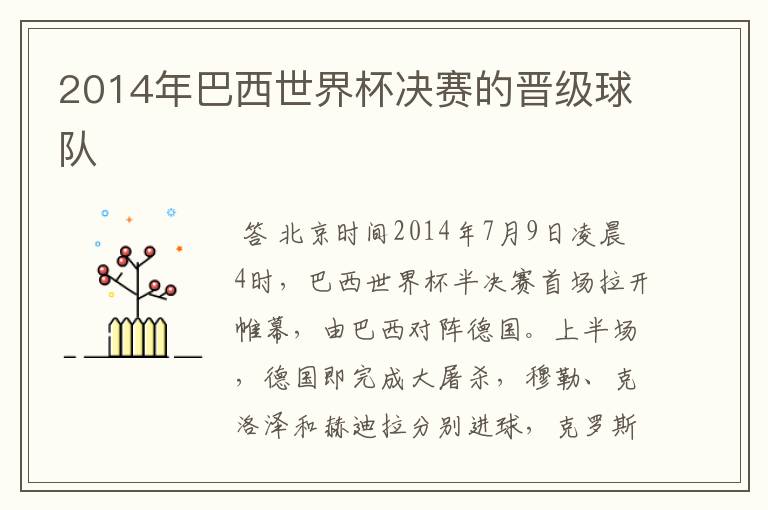 2014年巴西世界杯决赛的晋级球队
