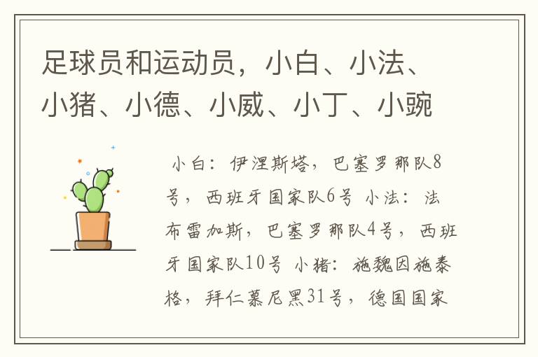 足球员和运动员,小白、小法、小猪、小德、小威、小丁、小豌豆分别是指谁?来自那